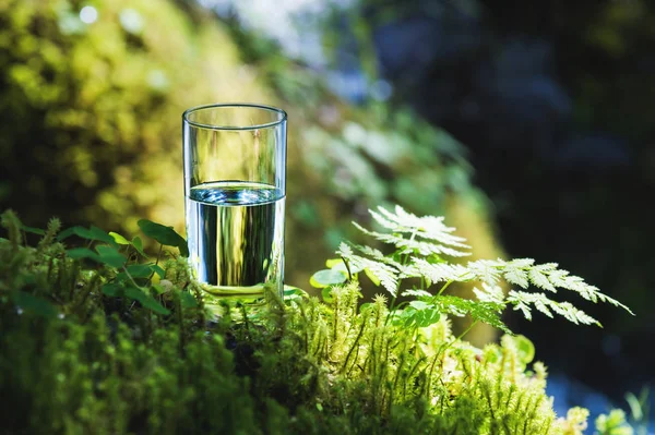 Acqua limpida in un bicchiere trasparente su uno sfondo di muschio verde con un fiume di montagna sullo sfondo. Cibo sano e acqua naturale rispettosa dell'ambiente — Foto Stock