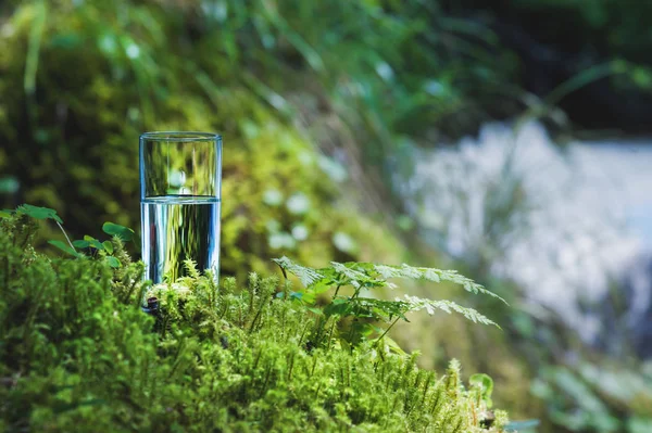 Clear water in a clear glass against a background of green moss with a mountain river in the background. Healthy food and environmentally friendly natural water