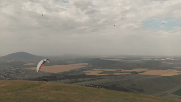 Atleta parapendio vola sul suo parapendio accanto alle rondini. Sparatoria successiva dal drone — Video Stock