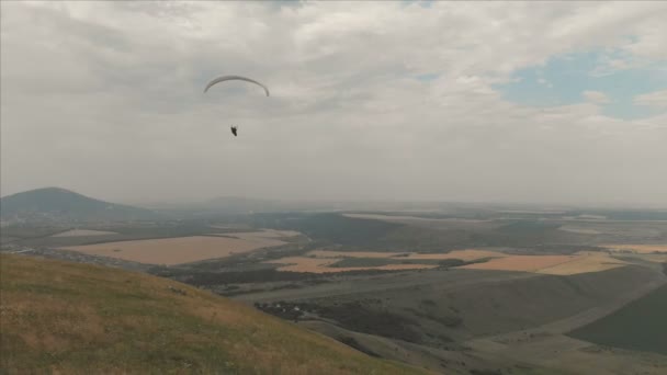 Atleet paraglider vliegt op zijn paraglider naast de zwaluwen. Follow-up van de drone schieten — Stockvideo