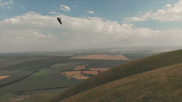 Atlet kluzáku létá na jeho kluzáku vedle vlaštovky. Pokračování natáčení z dron — Stock video