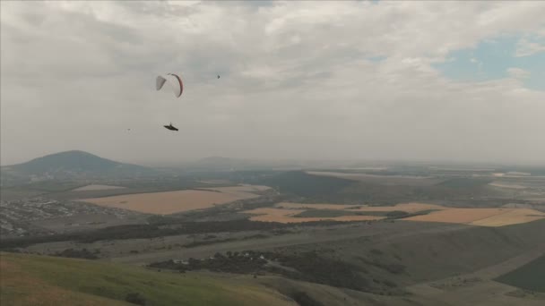 Idrottsman paraglider flugor på hans paraglider bredvid sväljer. Uppföljning skytte från drönaren — Stockvideo