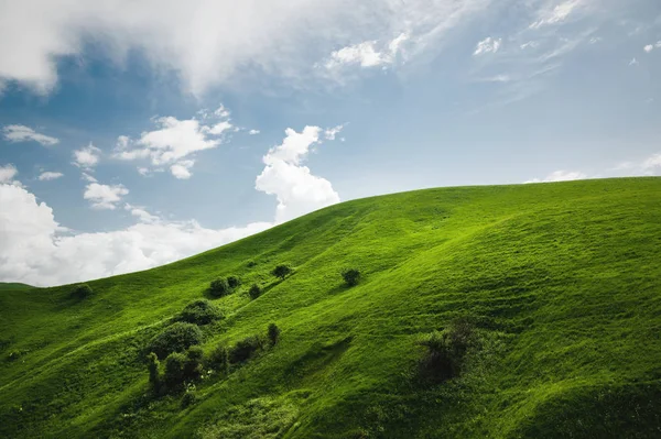 Ein sanfter Abhang eines grünen Hügels mit seltenen Bäumen und üppigem Gras vor einem blauen Himmel mit Wolken. das sonoma-Tal — Stockfoto