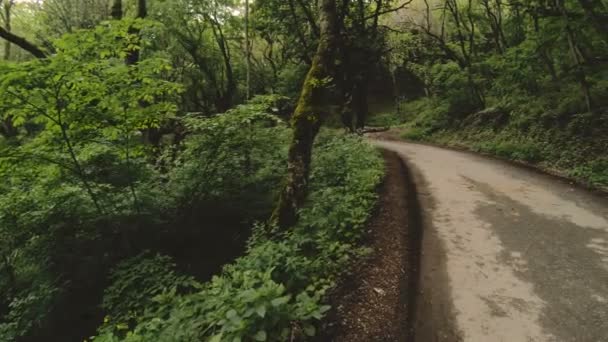 Mujer atractiva joven en auriculares cambiando la configuración de un reloj inteligente en frente de o suela trotando en la carretera en un bosque verde — Vídeos de Stock