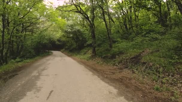 Young attractive woman in headphones changing the settings on a smart watch in front of or psole jogging on the road in a green forest — Stock Video