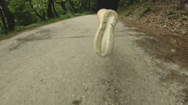 Бегущая девушка. Блондинка занимается спортом на свежем воздухе в летнем лесу. Широкий угол замедленного движения заднего вида. Крупный план женских ног — стоковое видео