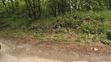 Oturan genç bir beyaz kız Kafkasya'da bir orman yolda koşu önce onun ayakkabı bağı bağlar. Geniş açı