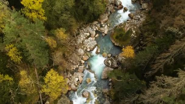 Vista aérea superior de un río rápido de montaña que fluye en el bosque de coníferas de otoño. Agua pura de montaña en el entorno natural — Vídeos de Stock