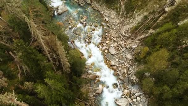 Luftaufnahme eines schnellen Gebirgsflusses, der durch den Nadelwald fließt. reines Bergwasser in der natürlichen Umgebung — Stockvideo