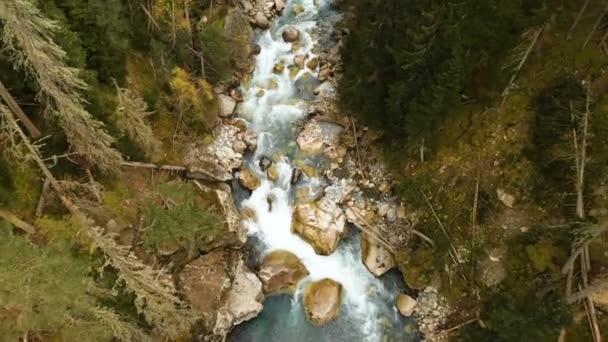 在针叶林中流淌着一条快速的高山河流的顶部鸟瞰图。纯净的山地水在自然环境中的 — 图库视频影像