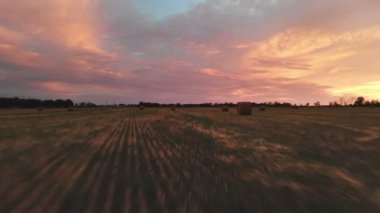 Saman balya bir çiftlik alanı üzerinde altın çok renkli günbatımı. Drone mowed buğday alanın üzerine gece karanlığında uçuyor. Düşük anahtar 4k