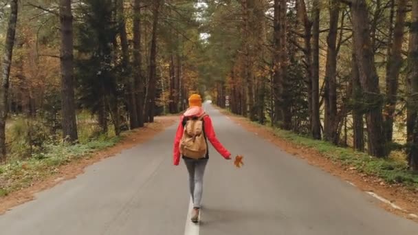 Ein junges, schlankes Mädchen mit gelbem Hut und historischem Rucksack läuft eine asphaltierte Straße im herbstgelben Nadelwald entlang. zurück — Stockvideo