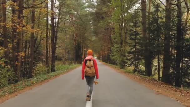 Ein junges, schlankes Mädchen mit gelbem Hut und historischem Rucksack läuft eine asphaltierte Straße im herbstgelben Nadelwald entlang. zurück — Stockvideo