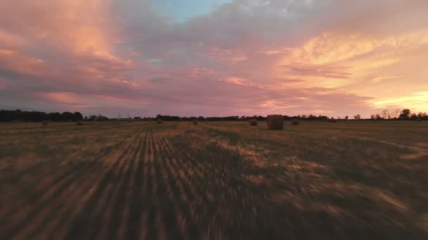 Coucher de soleil multicolore doré sur un champ agricole avec des balles de foin. Drone volant au-dessus d'un champ de blé fauché au crépuscule. Clé basse 4k 