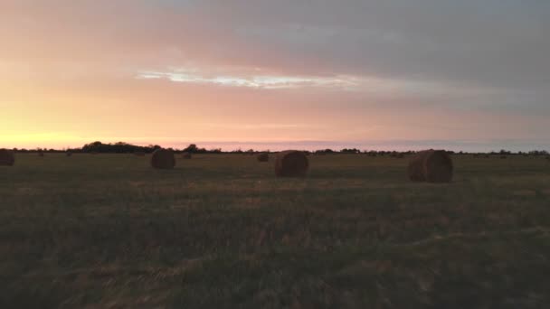 Arany többszínű naplemente alatt a mezőgazdasági területen a bála széna. Repülő drone egy kaszált Búzamező alkonyatkor. Alacsony kulcs 4k — Stock videók