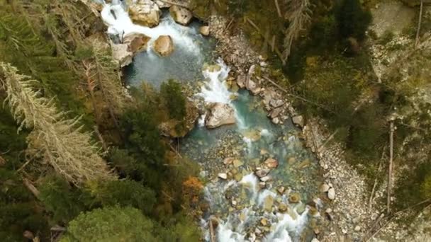 Nejlepší letecký pohled rychlá horská řeka, která teče v jehličnatých podzimním lese. Čistá voda v přírodním prostředí — Stock video