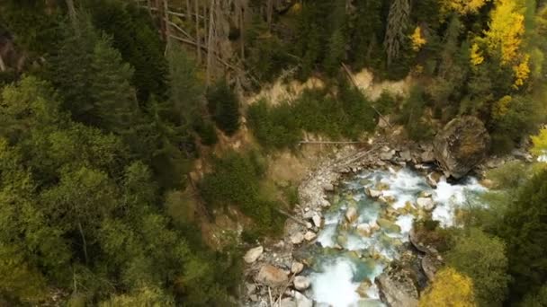 Top aerial view of a fast mountain river flowing in the coniferous autumn forest. Pure mountain water in the natural environment — Stock Video