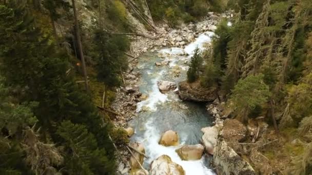 Vista aérea superior de un río rápido de montaña que fluye en el bosque de coníferas de otoño. Agua pura de montaña en el entorno natural — Vídeos de Stock