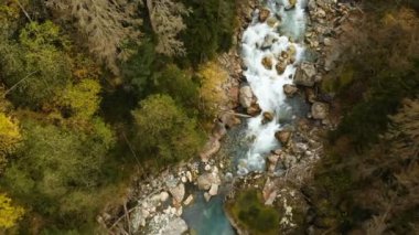 İğne yapraklı sonbahar ormanda akan bir hızlı dağ nehir üst hava görünümünü. Saf dağ su doğal ortamda