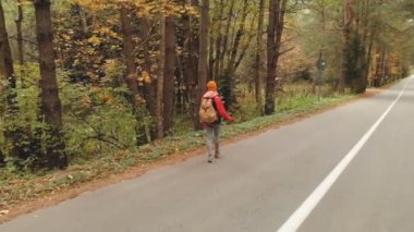 Sonbahar sarı iğne yapraklı orman içinde bir asfalt yol boyunca sarı şapka ve vintage bir sırt çantası içinde genç bir ince kız yürüyor. Yan geri görüntülemek
