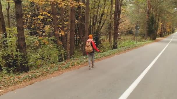 Una joven delgada con un sombrero amarillo y una mochila vintage camina a lo largo de un camino de asfalto en el bosque de coníferas amarillo de otoño. Vista trasera lateral — Vídeos de Stock