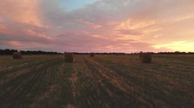 Saman balya bir çiftlik alanı üzerinde altın çok renkli günbatımı. Drone mowed buğday alanın üzerine gece karanlığında uçuyor. Düşük anahtar 4k