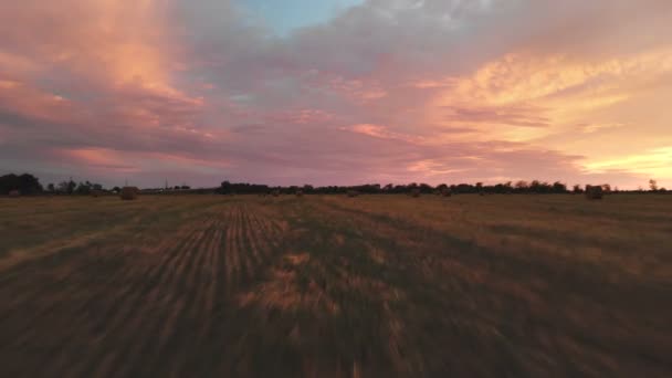 Coucher de soleil multicolore doré sur un champ agricole avec des balles de foin. Drone volant au-dessus d'un champ de blé fauché au crépuscule. Clé basse 4k 