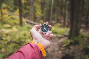 A beautiful male hand with a yellow watch strap holds a magnetic compass in the coniferous autumn forest. The concept of finding yourself the way and truth clipart