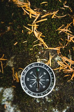 Vahşi bir taş bir siyah kadran ile manyetik pusula ile yeşil yosun kaplı. Yol ve gezinti bulma kavramı