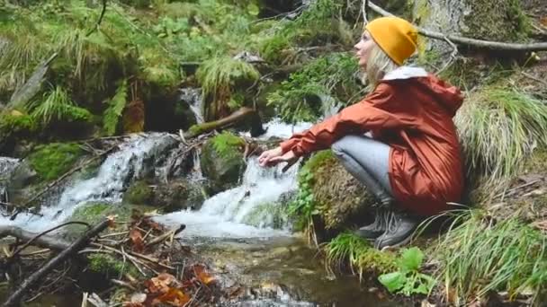 Una hermosa viajera con gorra se sienta a la orilla de un arroyo de montaña en un bosque de coníferas y moja sus manos en aguas cristalinas — Vídeo de stock