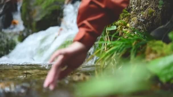 Uma menina bonita viajante em um boné senta-se na margem de um córrego de montanha em uma floresta conífera e molha as mãos em água limpa. Fechar tiro — Vídeo de Stock