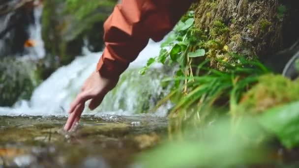 Ein hübsches Mädchen mit Mütze sitzt am Ufer eines Gebirgsbaches in einem Nadelwald und benetzt ihre Hände mit klarem Wasser. Nahaufnahme — Stockvideo