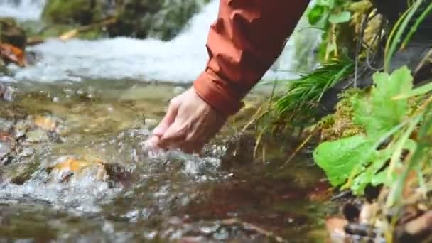 De reiziger van een mooi meisje in een cap zit aan de oever van een bergbeek in een naaldhout bos en drankjes helder water. Close-up shot — Stockvideo