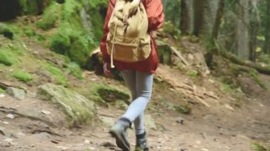 İğne yapraklı orman yolundaki aşağı ince kız gider. Turizm Caucasus yedekte. Kamera yaklaşım olacaktır