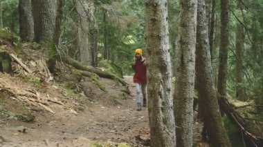 İnce kız iğne yapraklı orman üst yolda gidiyor. Turizm Caucasus yedekte. Kamera yaklaşım olacaktır.