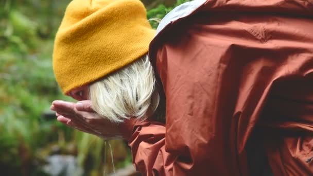 A pretty girl traveler in a cap sits on the bank of a mountain stream in a coniferous forest and drinks clear water. Close up shot — Stock Video