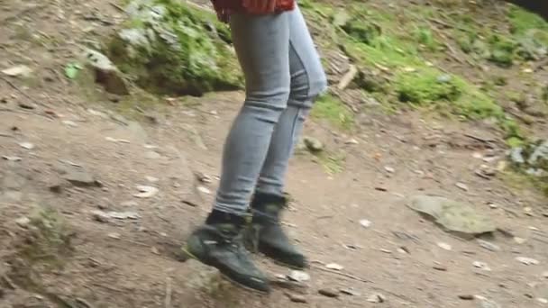 Smal flicka promenader längs sökvägen i barrskogen. Turism i reservatet Caucasus. Närbild av en turister fot. Går mot kameran — Stockvideo