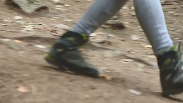 Slender girl walking along the path in the coniferous forest. Tourism in the Caucasus Reserve. Closeup of a tourists foot. Goes towards the camera — Stock Video