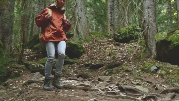 Karcsú lány megy az ösvényen, a tűlevelű erdő. Turizmus Caucasus tartalékba. Felveszi a kapcsolatot a kamera — Stock videók