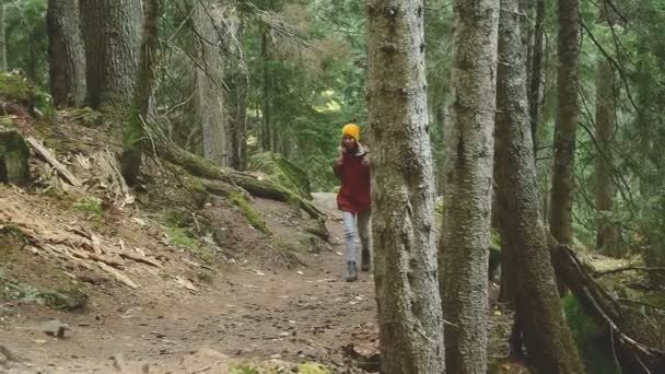 細身の女の子は 針葉樹林のトップにパスを通っています コーカサスの予備の観光 カメラが近づく — ストック動画
