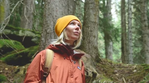 Bonita rubia con un sombrero amarillo con una mochila mira a su alrededor en un bosque de coníferas. Retrato de una chica viajera en cámara lenta — Vídeos de Stock