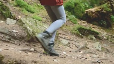 İnce kız iğne yapraklı orman yol boyunca yürüyüş. Turizm Caucasus yedekte. Bir turist ayak closeup. Kameranın doğru gider