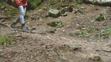 İnce kız iğne yapraklı orman yol boyunca yürüyüş. Turizm Caucasus yedekte. Bir turist ayak closeup. Kameranın doğru gider