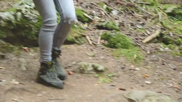 Slanke meisje wandelen langs het pad in het naaldhout bos. Toerisme in de Caucasus Reserve. Close-up van een toeristen-voet. Gaat naar de camera — Stockvideo