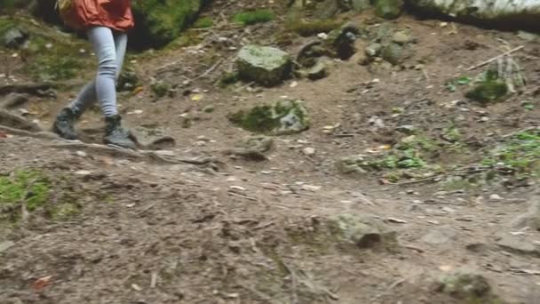 Slanke meisje wandelen langs het pad in het naaldhout bos. Toerisme in de Caucasus Reserve. Close-up van een toeristen-voet. Gaat naar de camera — Stockvideo