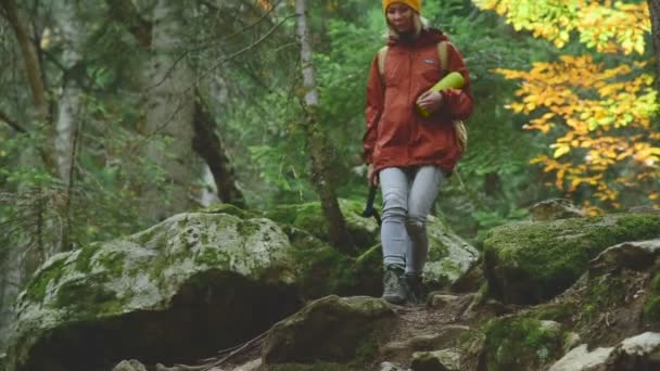 Ragazza snella scende il sentiero nella foresta di conifere. Turismo nella riserva del Caucaso. Si avvicinerà alla fotocamera — Video Stock