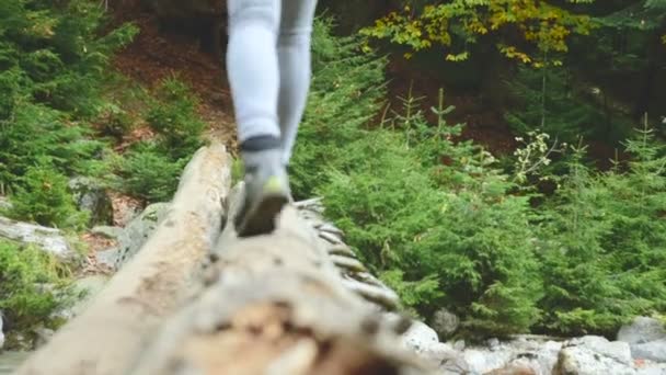 Slender girl walking along a log through a mountain river in the forest. Tourism in the Caucasus Reserve. Walking from the camera towards the forest — Stock Video