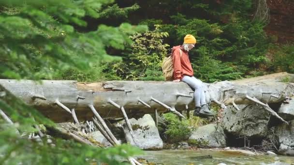 Trevlig tjej turist i en hatt och med en ryggsäck som sitter på en stock som låg över en berg flod i barrskogen. Turism i reservatet Caucasus — Stockvideo