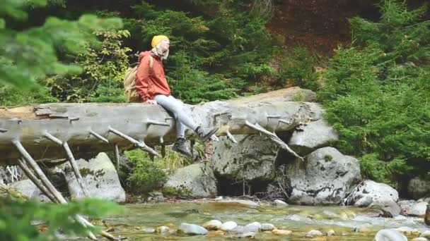 Nette Touristin mit Hut und Rucksack, die auf einem Baumstamm sitzt, der über einem Gebirgsfluss im Nadelwald liegt. Tourismus im Kaukasusreservat — Stockvideo