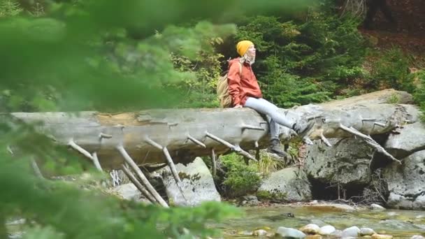 Pěkná holka turista v klobouku a s batohem na zádech seděl na kládě ležící přes horské řeky v jehličnatých lesů. Turistika v záloze Kavkazu — Stock video